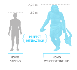 Homo Weigelsteinensis